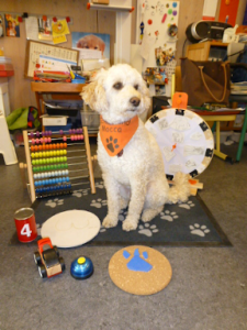 Die Schulhündin Mocca sitzt auf einer Hundedecke umgeben von verschiedenen Spielsachen zum Lernen in der Vorklasse.